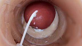 Camera inside deep pussy captures huge ejaculation of sperm