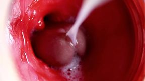 CUM INSIDE THE PUSSY